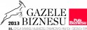  Gazele Biznesu 2013 